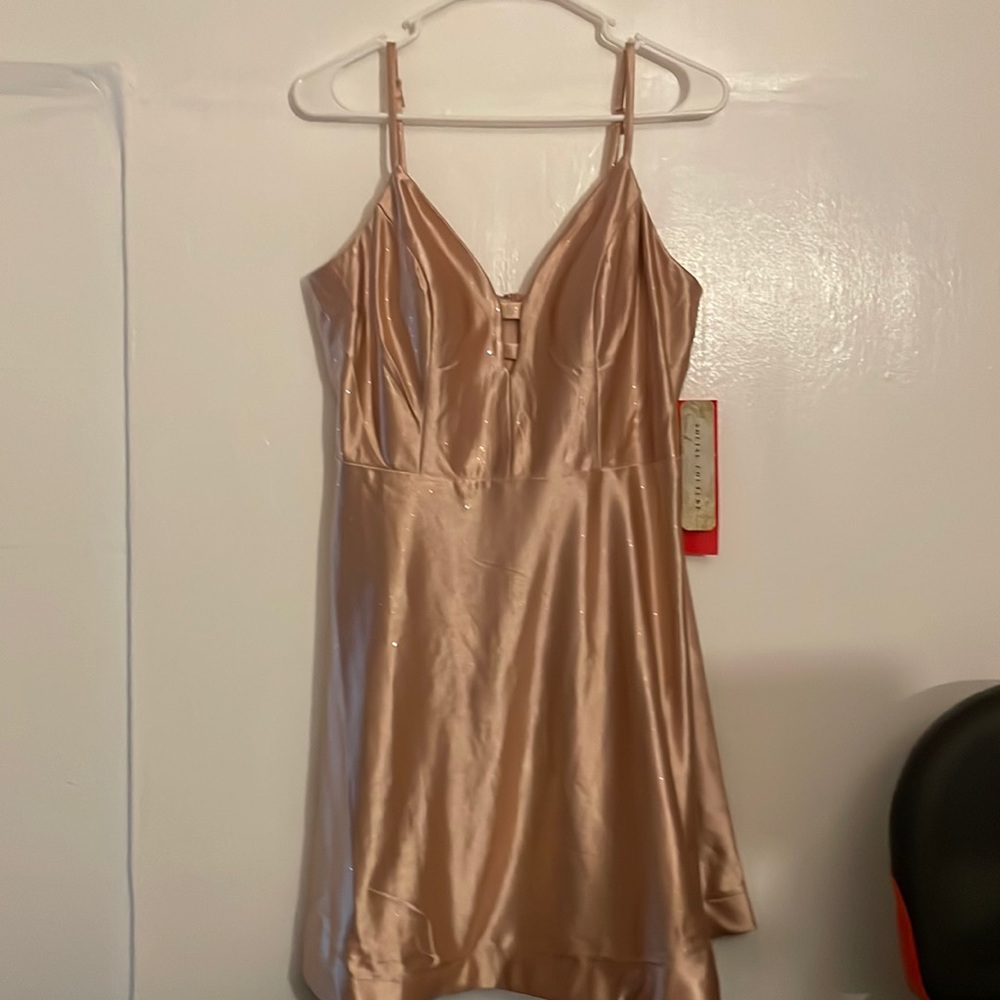 Rose gold dress size XL, and brand name Social Couture